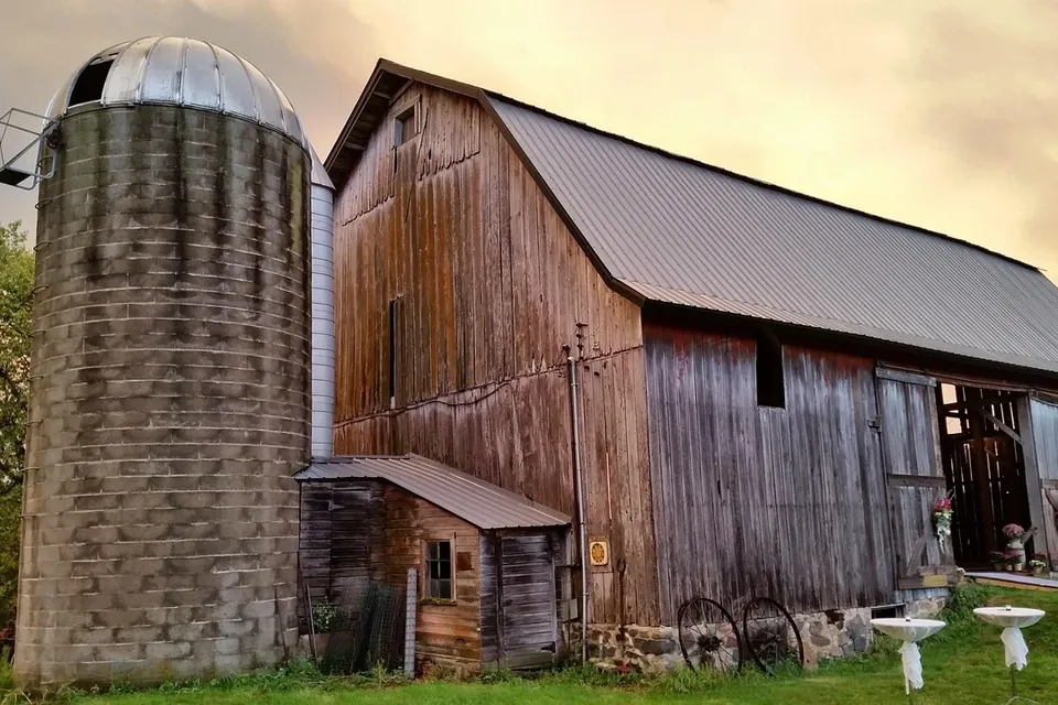 DSC_0217